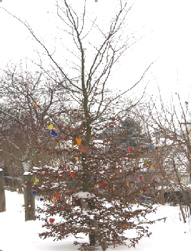 Frderverein_ Baum der Freundschaft